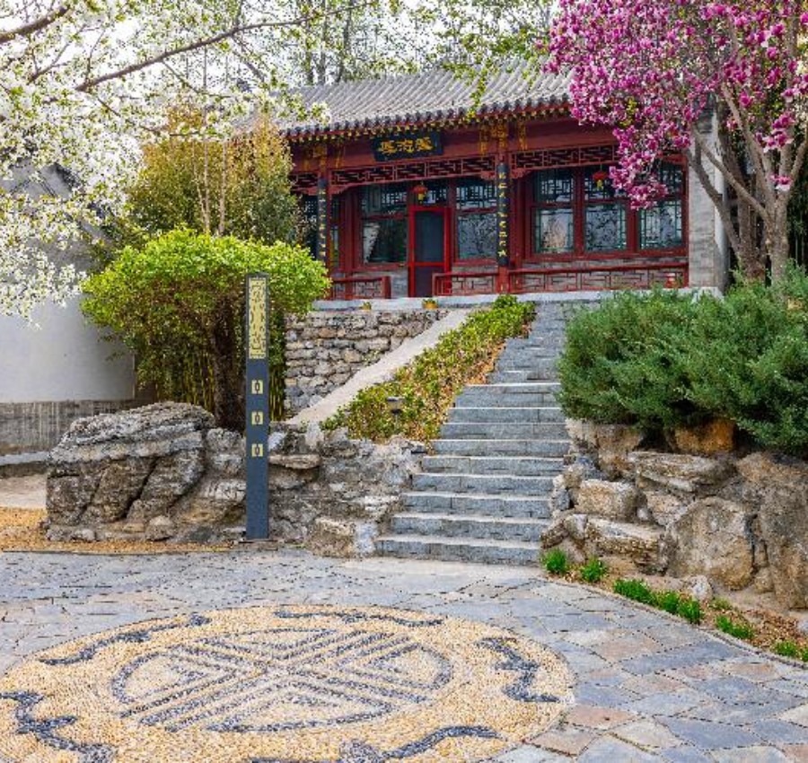 庭院